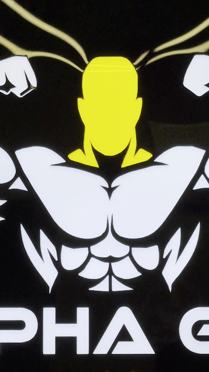 Photo 1 of Alpha gym