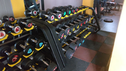 Photo 1 of IRON SOLDIER GYM