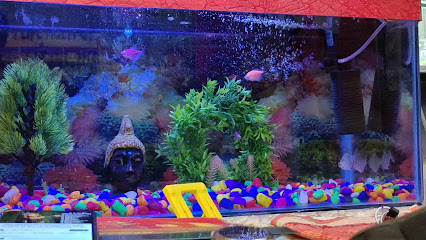 Photo 1 of Long Life Multi Gym