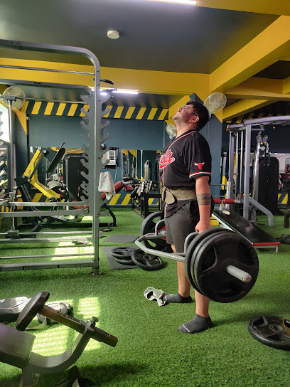 Photo 1 of Life Fitness Gym