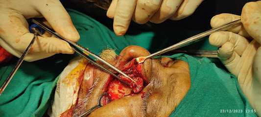 Photo 1 of Dr Amrit Raj Sharma