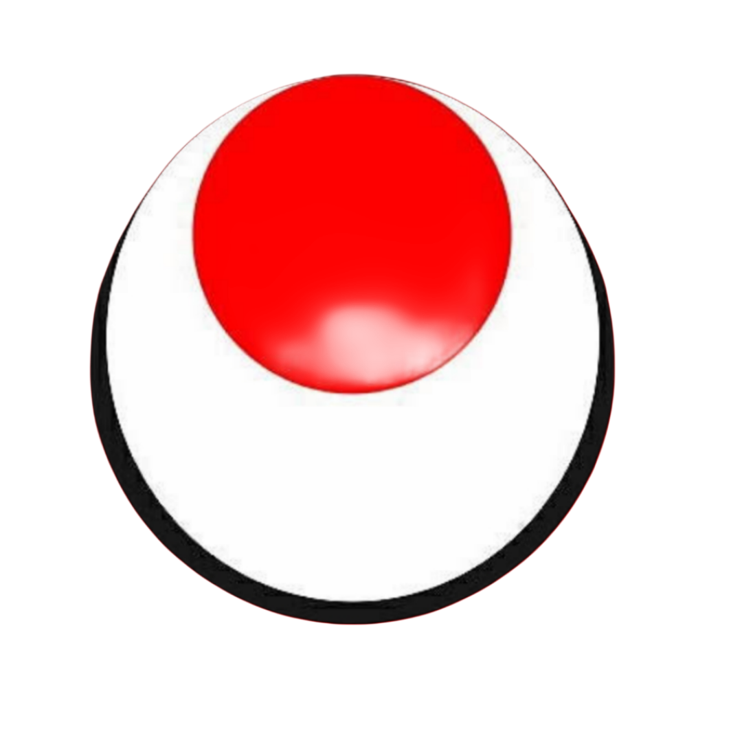 MANOJ JKA - Bihar Shotokan Karate Academy Logo